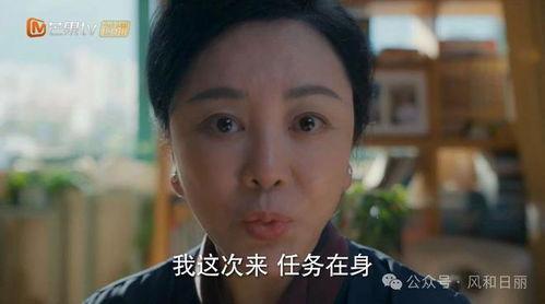 三胎计划国产剧在线观看,国产剧带你领略育儿新风尚