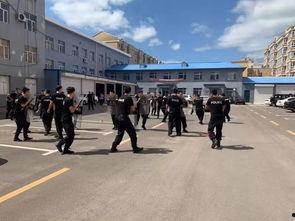 国产自拍视讯在线,探索本土短视频文化的魅力与未来