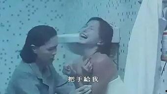 国产女同在线视频播放,探索情感共鸣的私密空间