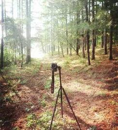 国产自拍树林在线,揭秘我国网络短视频的独特魅力