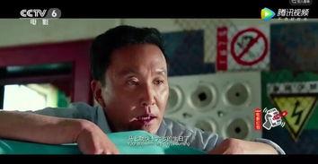 绿叶电影国产在线观看,国产佳作在线盛宴